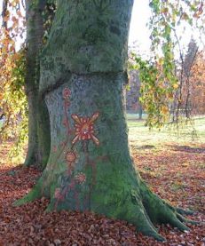 Ein Baum in der Fuldaaue, Herbst 2005
